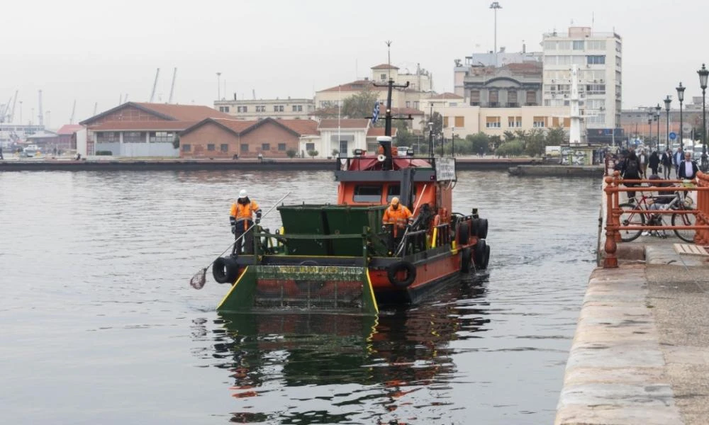 Δεν ανιχνεύτηκαν παθογόνα μικρόβια σε αλιεύματα από τον Θερμαϊκό